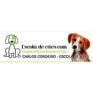 Carlos Cordeiro – Escola de Cães