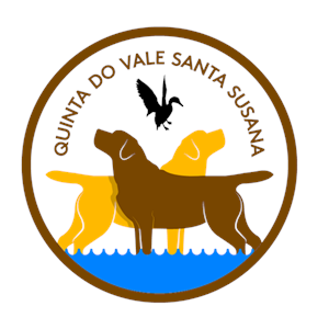 Quinta do Vale Santa Susana