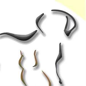 Domivet Clínica Veterinária 