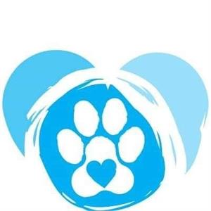 Cão Passeão - Love Your Pets