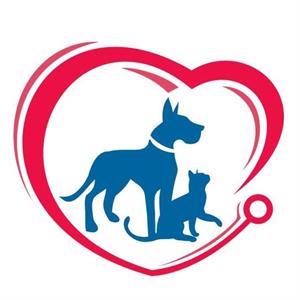 Clínica Veterinária dos Navegantes