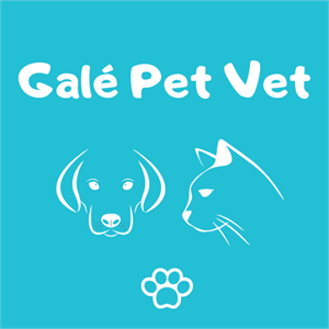 Galé Pet Vet