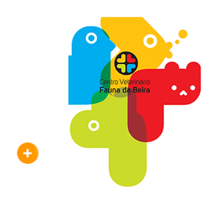 Centro Veterinário Fauna da Beira