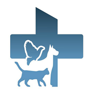 Clínica Veterinária D'Óbidos