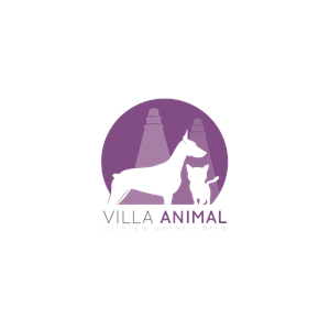 Villa Animal Clínica Veterinária