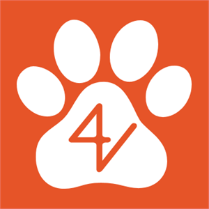 4V - Consultório Veterinário de Pernes