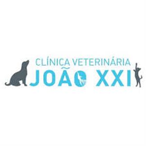 Vet Boutique 1 – Av. João XXI