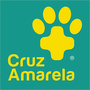 Cruz Amarela - Loja Online