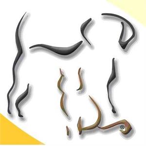  Clínica Veterinária Àgritabua