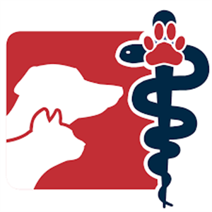 Clínica Veterinária Vetcare - Amora