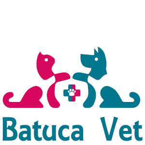 Batuca Vet - Clínica Veterinária