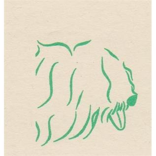 Vetévora - Centro Veterinário 