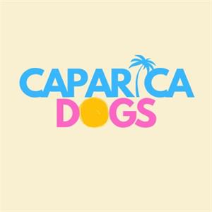Caparica Dogs - Training & more