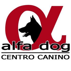 Alfa Dog Centro Canino