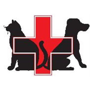 Clínica Veterinária de Mangualde- Drª Sónia Lopes